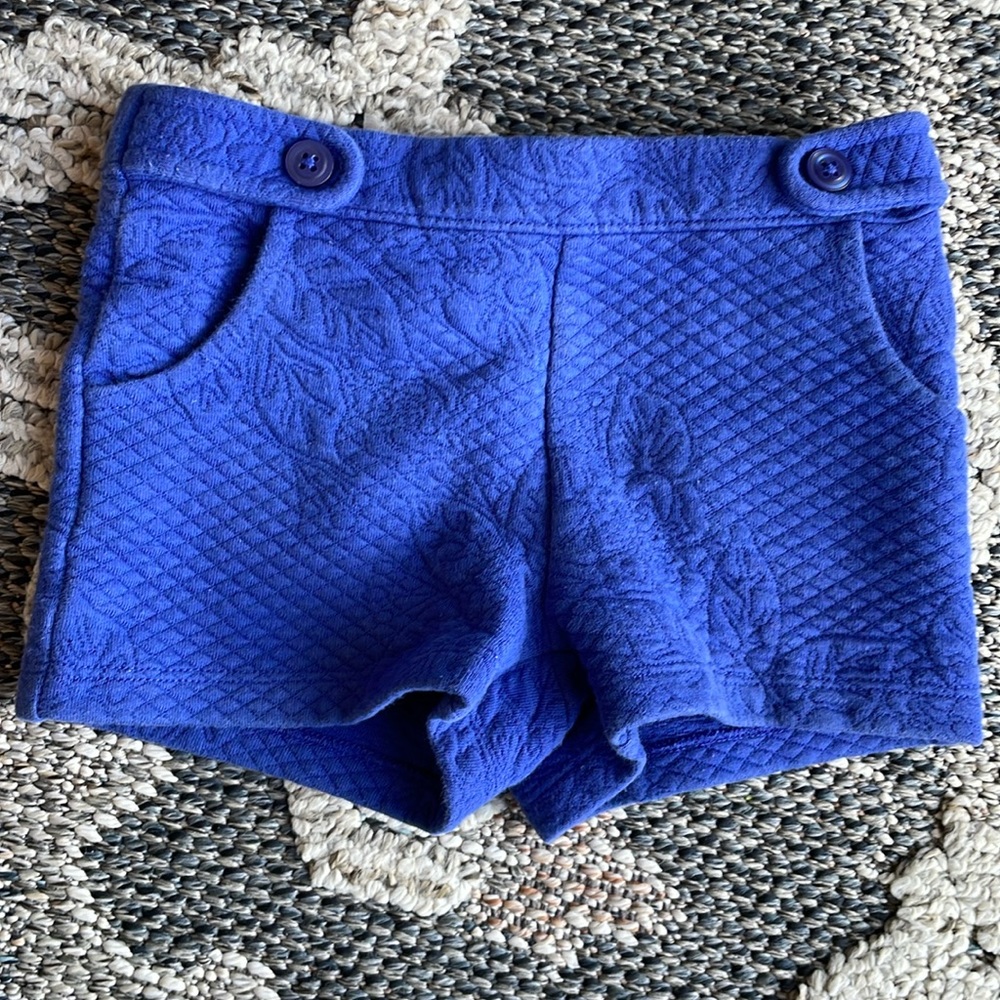 Janie and Jack cobalt blue shorts 2T with floral embroidery